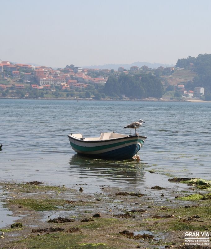 Música en directo. Excusas para visitar Vigo a parte de la Samil o las Islas Cíes