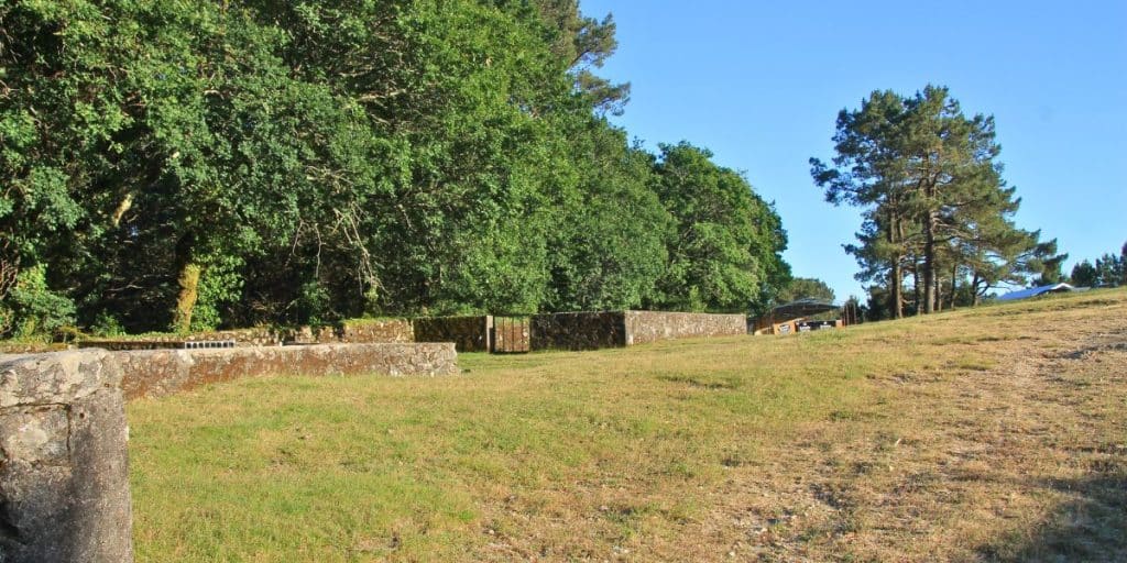 Curros de Torroña previo a la fiesta