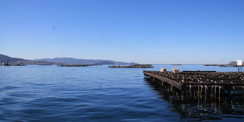 descubre las tradicionales bateas de la ría de vigo galica